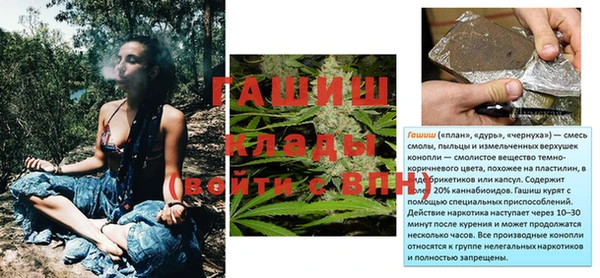 Альфа ПВП Инта
