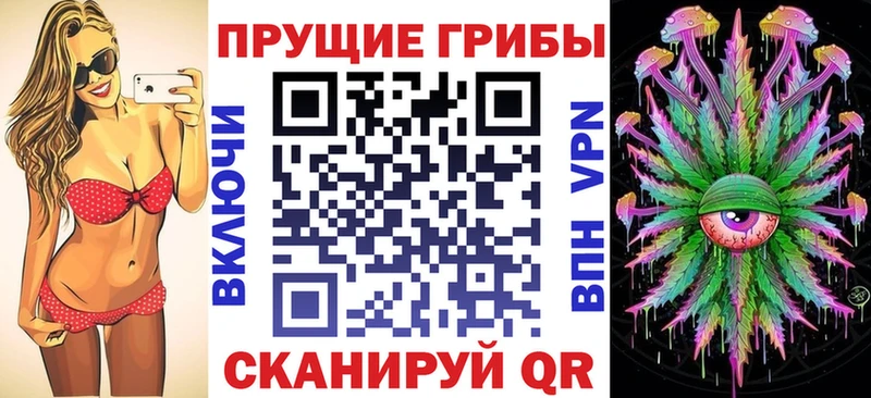 гидра вход  Рыбинск  Псилоцибиновые грибы Psilocybe 